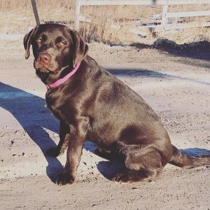 Meet your Posher, Nancy